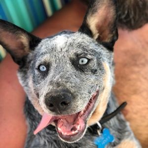 Meet your Posher, Stacia